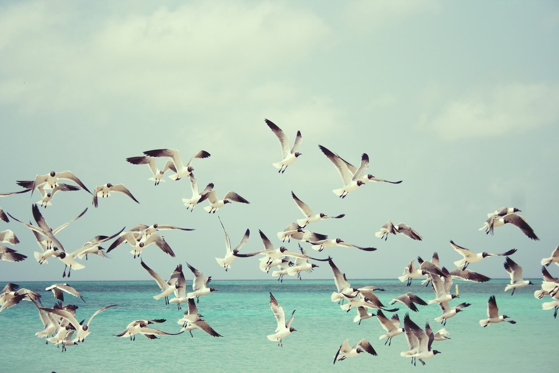 Ready Set Holiday! Stylish Travel App
