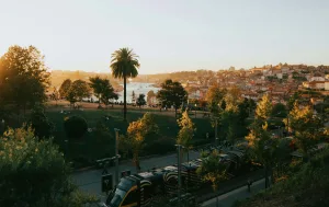 Jardim do Morro - things to do in porto Jardim do Morro